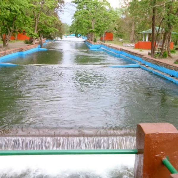 Lacchiwala Water Park
